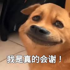 我真的会谢谢是什么梗表情包- 抖音