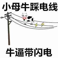 全网最全歇后语表情包，牛b爆了！_小王子