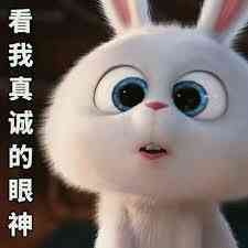 真诚表情包图片- 求表情网,斗图从此不求人!