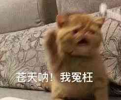 我是冤枉的表情包图片- 求表情网,斗图从此不求人!
